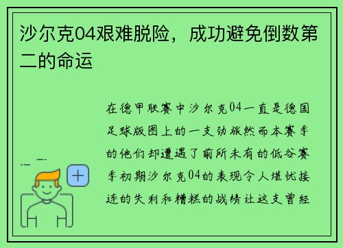 沙尔克04艰难脱险，成功避免倒数第二的命运