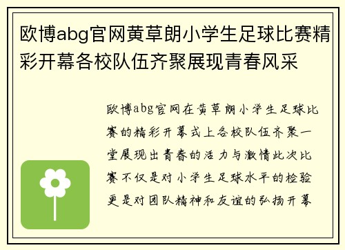 欧博abg官网黄草朗小学生足球比赛精彩开幕各校队伍齐聚展现青春风采